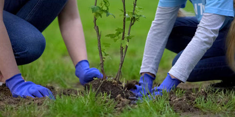 Como Participar de Projetos de Conservação Durante suas Aventuras