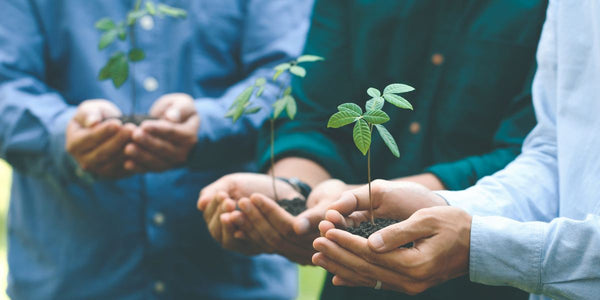 Como Escolher Projetos de Turismo Comunitário Éticos e Sustentáveis