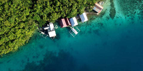 Qual A Importância do Ecoturismo no Brasil para a Conservação da Biodiversidade