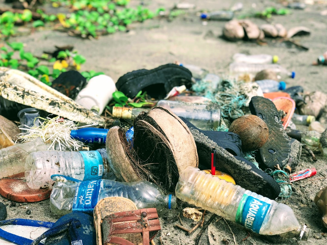 Qual É a Importância da Educação Ambiental: Benefícios para a Sociedade e o Planeta