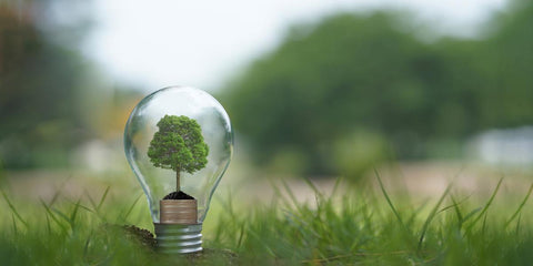 Qual o Objetivo da Educação Ambiental: Objetivos e Propósitos Essenciais