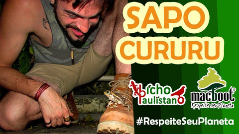Nosso amigo sapo