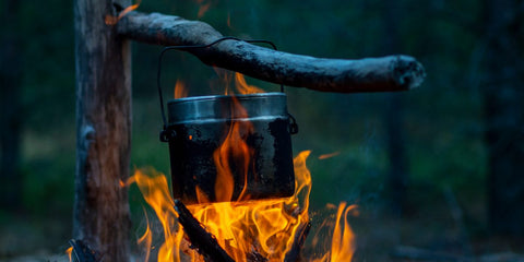 Técnicas de Sobrevivência Alimentar: Como Encontrar e Preparar Alimentos em Situações de Emergência