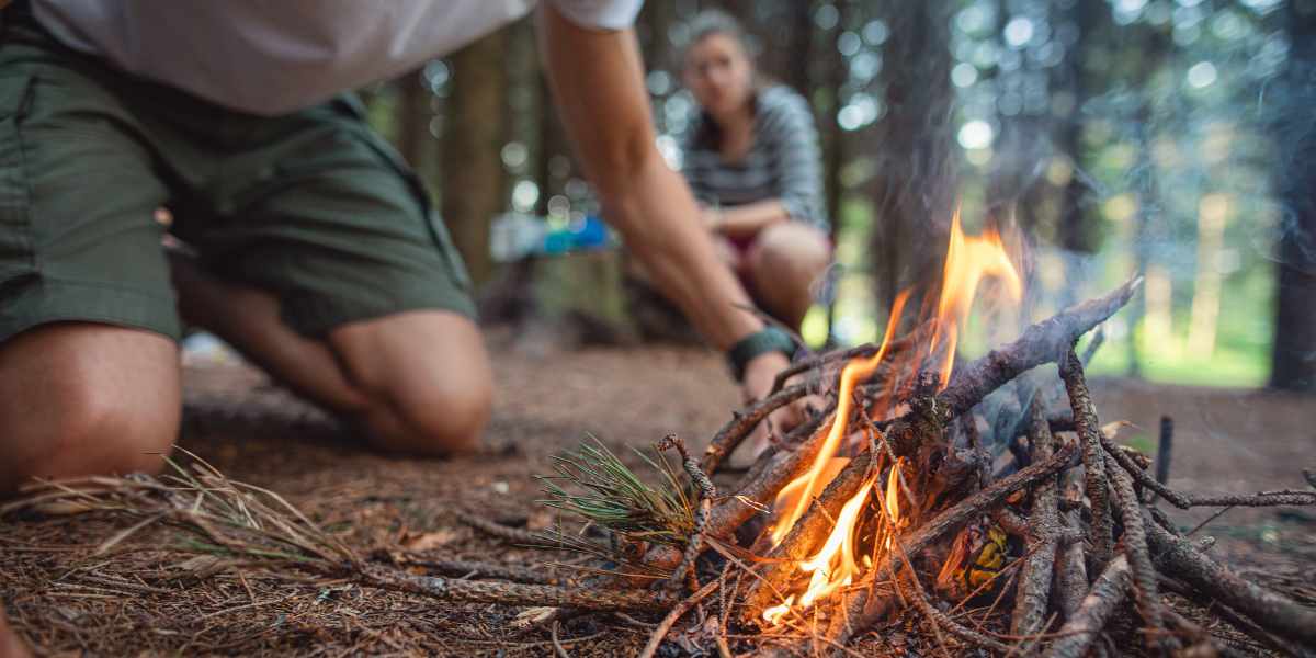 8 Técnicas de Sobrevivência na Floresta: Estratégias Essenciais para Aventuras na Natureza