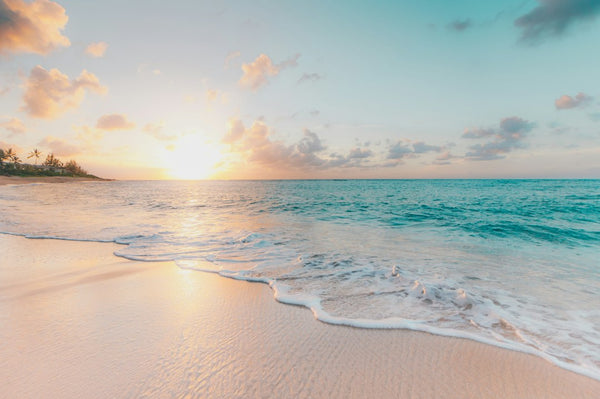 Trilha Praia Da Solidão: Conecte-se com a natureza e desfrute de uma aventura relaxante na Praia Da Solidão.