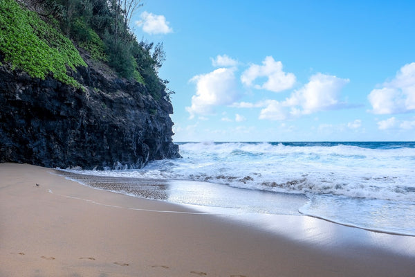 Trilha Praia Das Conchas: Explore a Beleza Natural desta Trilha à Beira-Mar