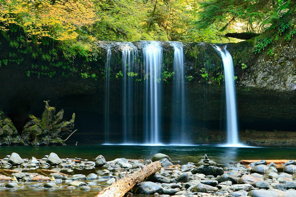 Trilhas com Cachoeiras e Piscinas Naturais: Refresque-se e Relaxe em Cenários Paradisíacos