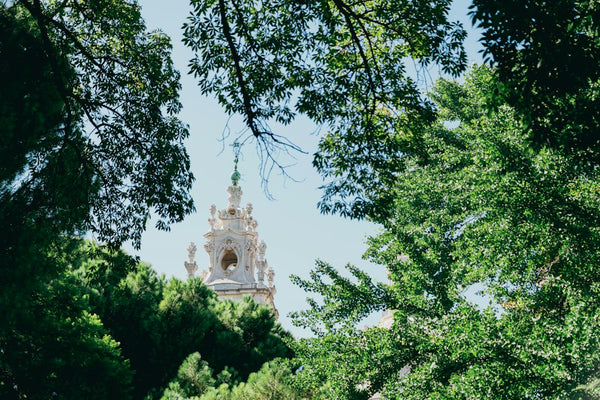 Trilhas do Jardim Botânico: Aventure-se em uma experiência cênica e educativa na natureza