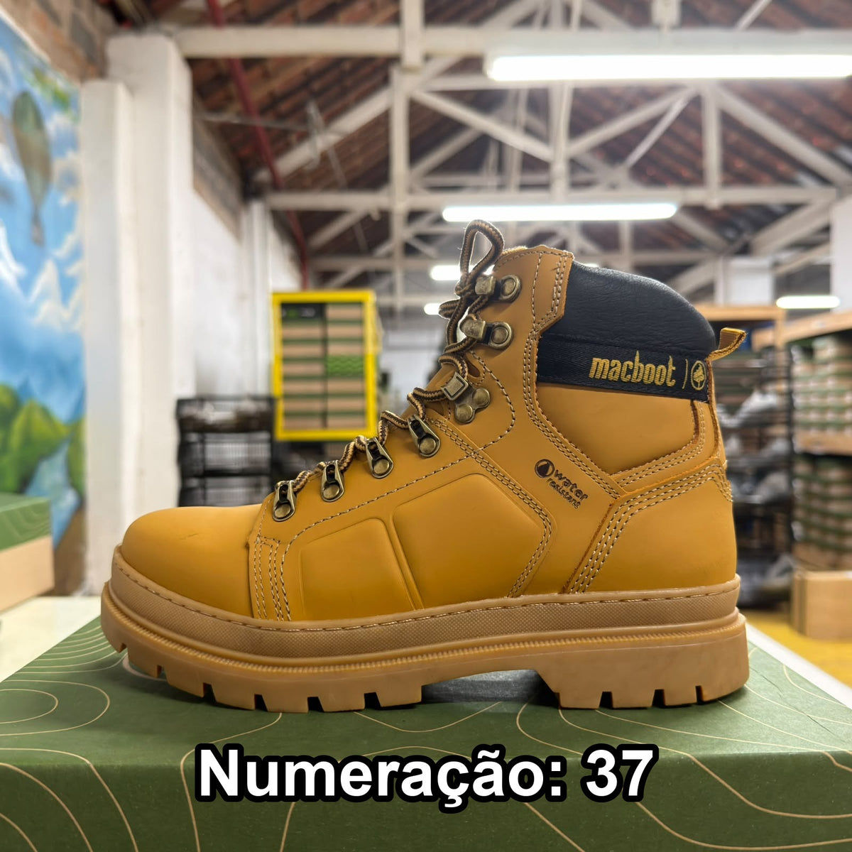 06.jpeg